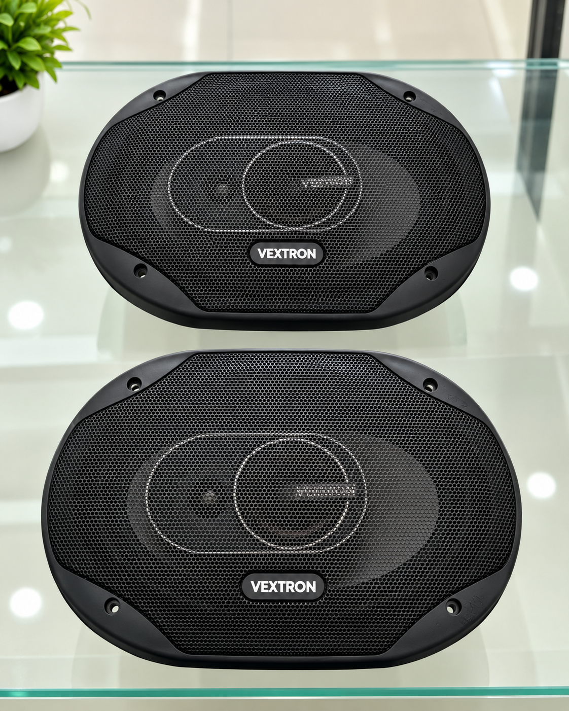 VEXTRON 9 INCH SPEAKER CAR